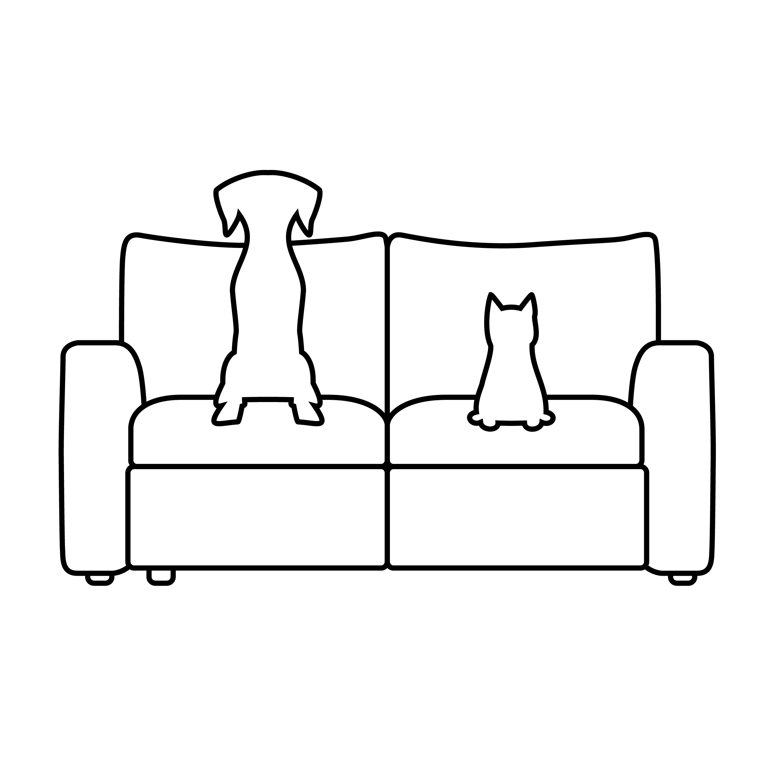 Pet